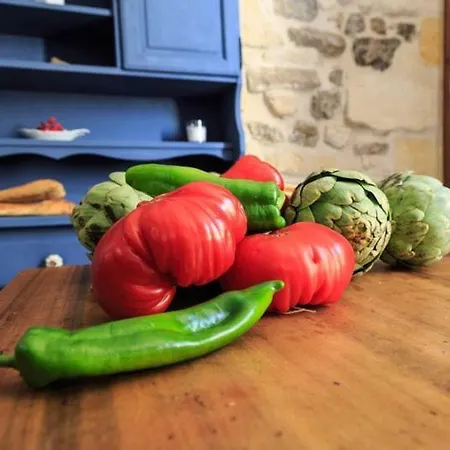 Le Coeur Des Vignes Gasthof Pauillac