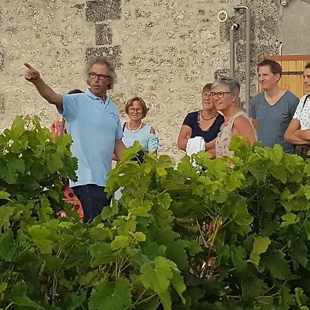 Maison d'hôtes Le Coeur Des Vignes Pauillac