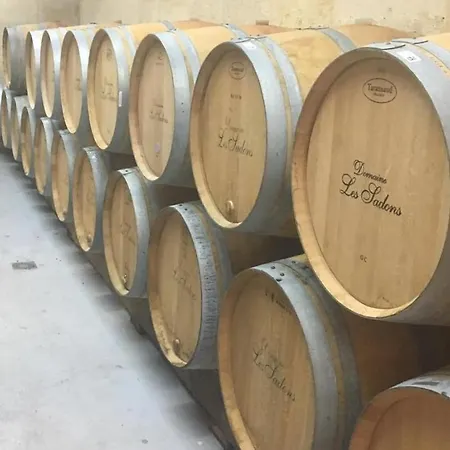 Le Coeur Des Vignes Pauillac
