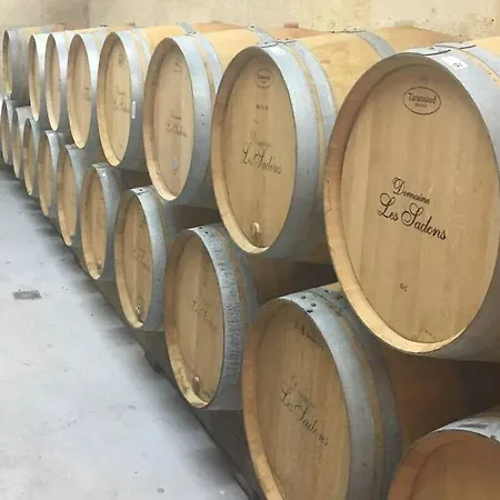 Le Coeur Des Vignes 3* Pauillac
