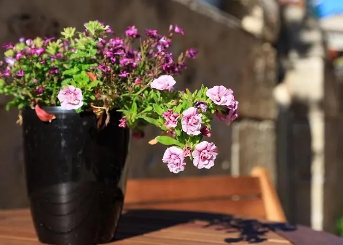 Gasthof Le Coeur Des Vignes Pauillac